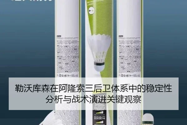 勒沃库森在阿隆索三后卫体系中的稳定性分析与战术演进关键观察